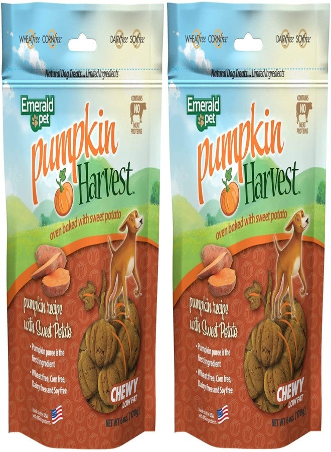 Emerald Pet Sweet Potato Pumpkin - Image 1